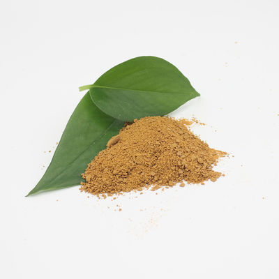 PAC Poly Aluminium Chloride ในการบำบัดน้ำเสีย